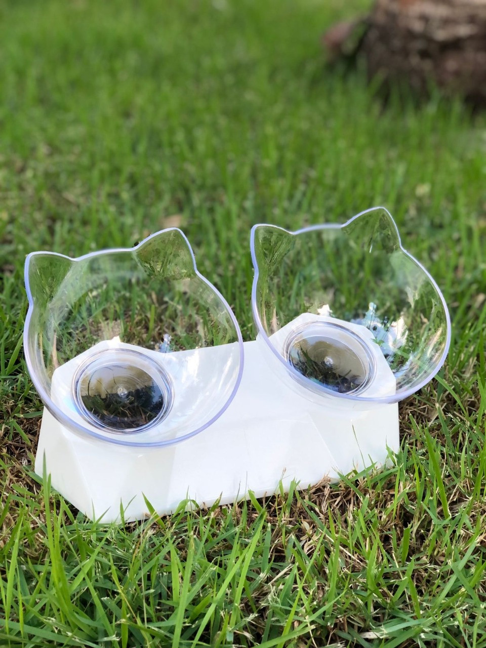 Miniatura 3 de Comedero Cara De Gato Inclinado Para Mas